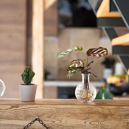 Le Cocon Alsacien - Maison Atypique Avec Jardin & Parking Biesheim